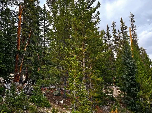 387 El Lobo Ln, Fairplay, CO 80440