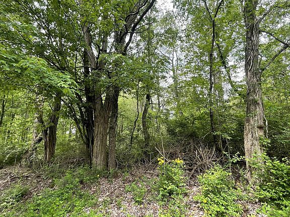 5th image of 0 Stickle Rd