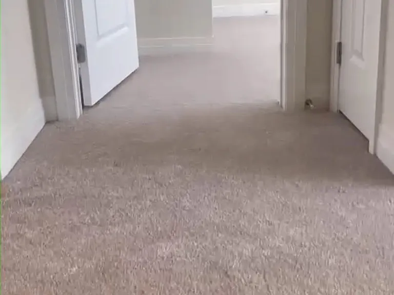 3024 Sandy Acres Ave — Photo 12