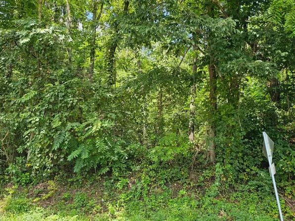 Tbd Green Spring Rd, Abingdon, VA 24210