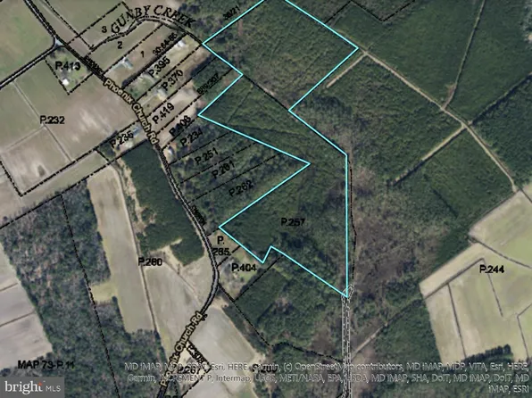 0 Phoenix Church Rd, Marion Station, MD 21838