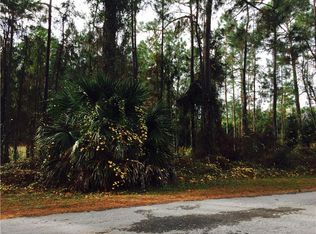 18 Sanctuary Ave, Debary, FL 32713