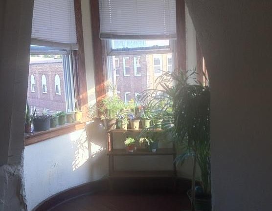 3rd image of 6101 Vine St APT 3
