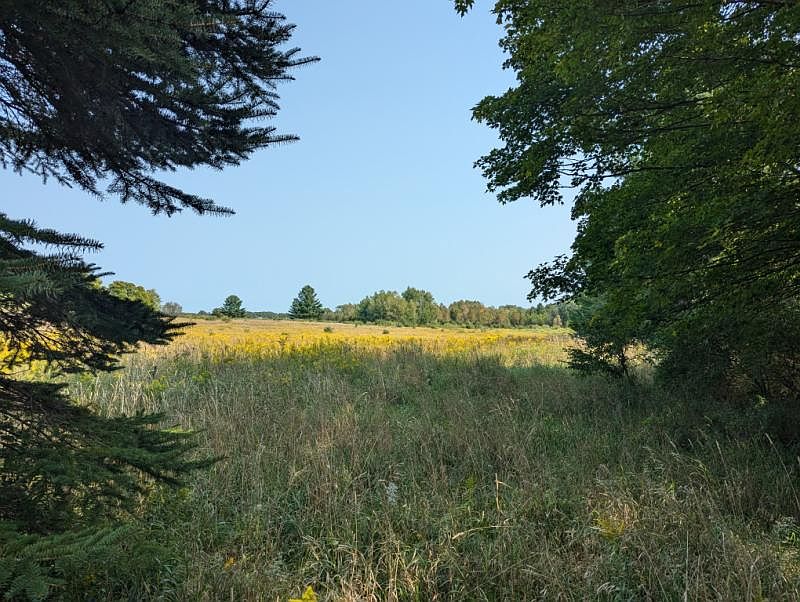 Coville Rd, Lincoln, MI 48742 MLS 077240033 Zillow