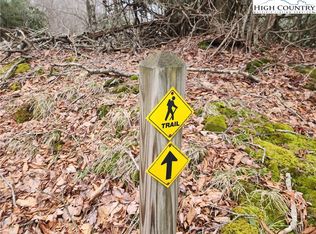 Staghorn Hollow Rd, Banner Elk, NC 28604