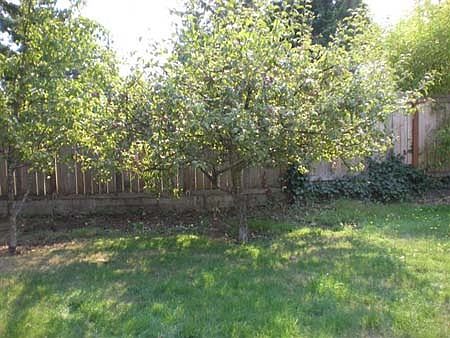 2nd image of 8616 Lawndale Ave SW