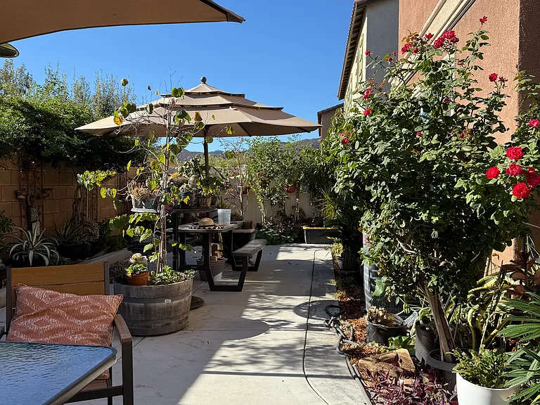 Golden Poppy Ln — Photo 7