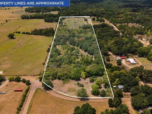 2510 Vz County Road 4511, Ben Wheeler, TX 75754