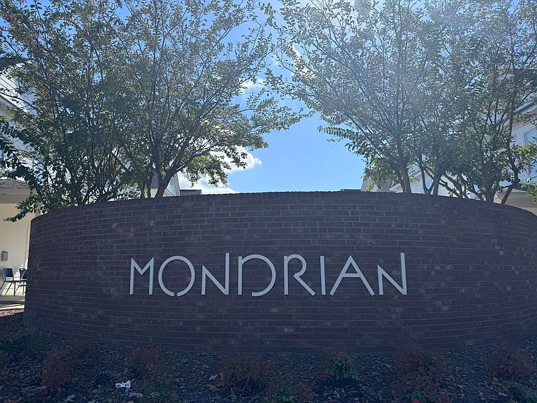 Mondrian Place — Photo 7