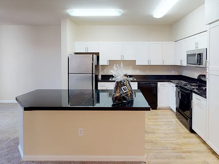 Apartment kitchen with wood-style flooring.