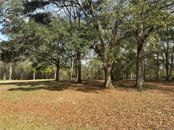 Trailhead Dr, Abita Springs, LA 70420