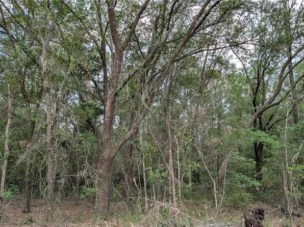 NE 108th Pl, Waldo, FL 32694