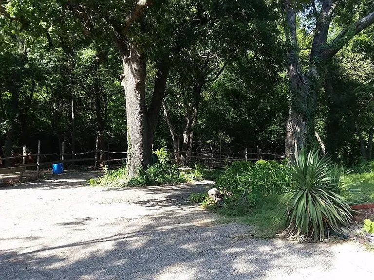 Another view from front door. Nothing between you and the Trinity River but the basketball court, barn, animal pens, woods, trails, parks and soccer fields. This place is VERY unique and ideal for nature lovers.