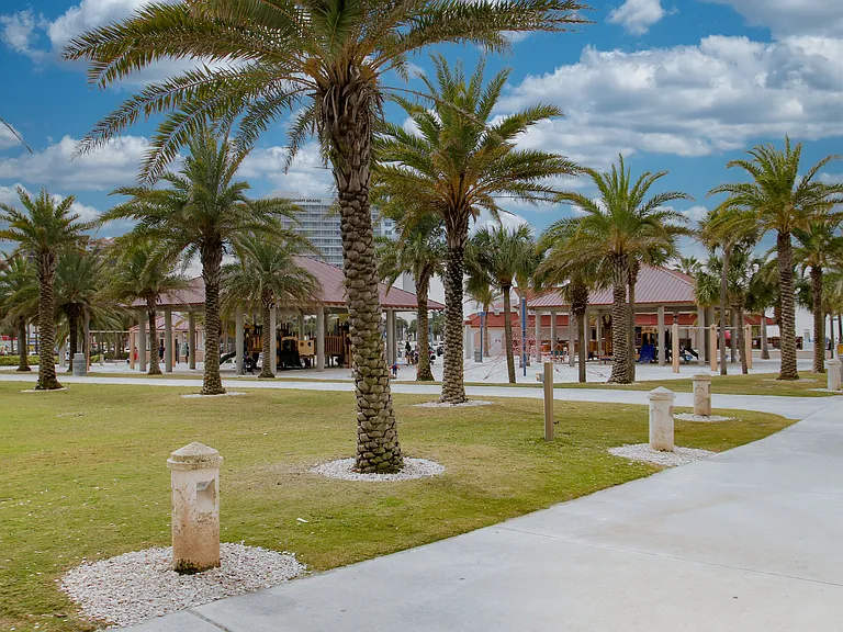 Clearwater (1)_06242026