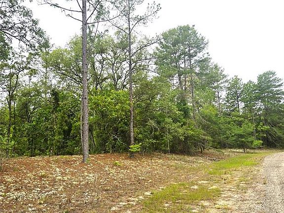 3rd image of 576 E Nemo Dr Lot 4