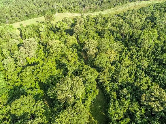 5th image of Highway 259 & Sego Lily Rd