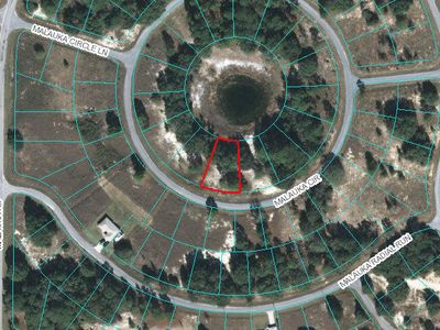 0 Malauka Cir LOT 8, Ocklawaha, FL, 32179