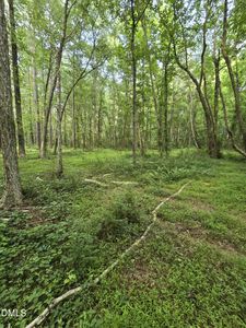 0 Honeycutt Rd, Willow Spring, NC, 27592