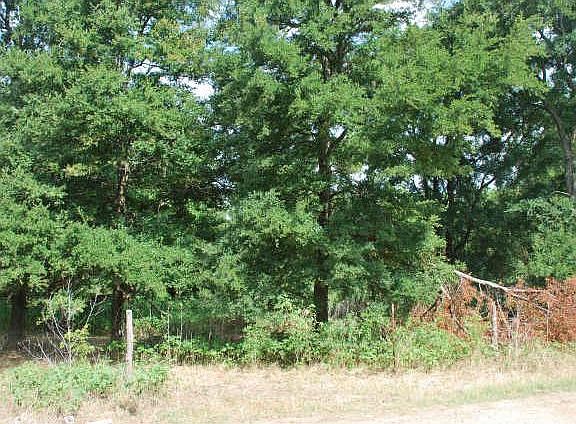 3rd image of 10546 Newell Creek Dr