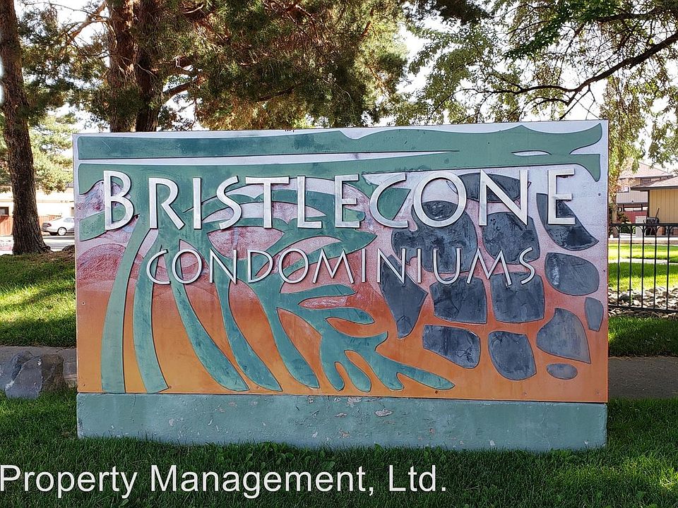 1st image of 3172 Bristle Branch Dr