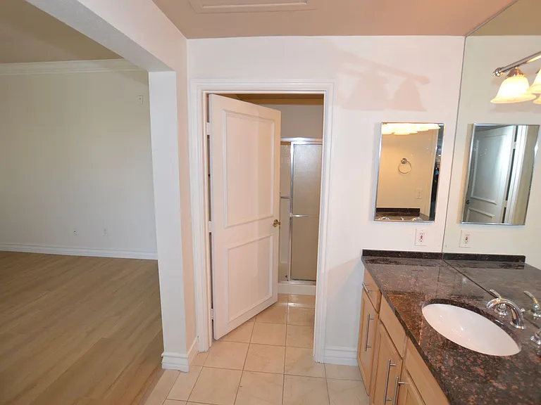 270 E Flamingo Rd #211 — Photo 12