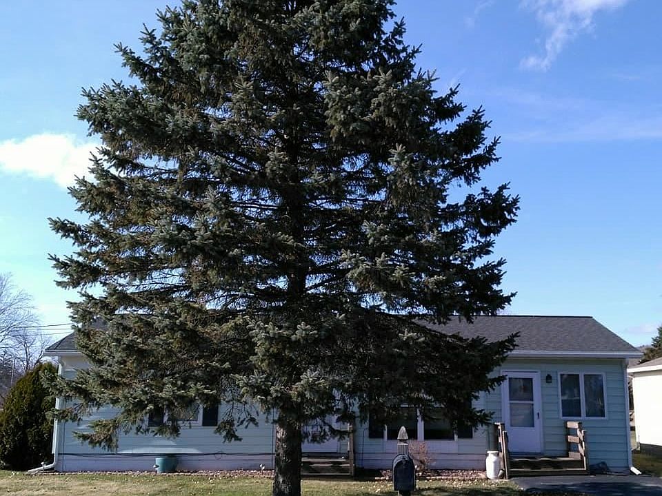 1st image of 491 Milton St