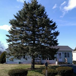 491 Milton St, Elmira, NY, 14904