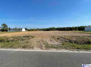 18 Winnie Rd, Mullins, SC 29574