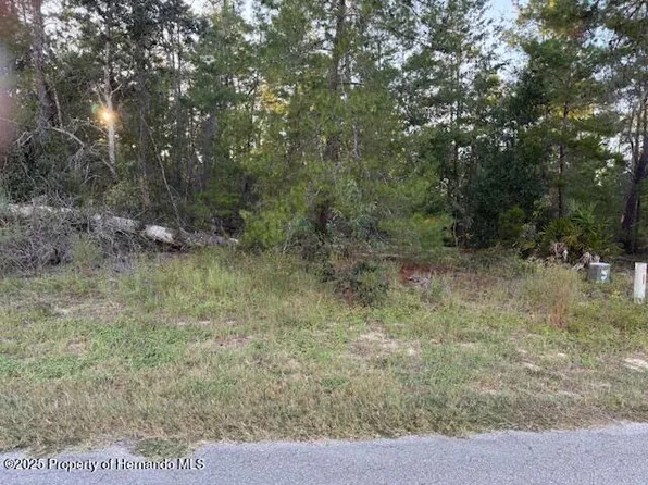 6 Bellis Ct, Homosassa, FL 34446