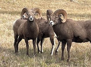 226 Bootleg Rd, Eureka, MT 59917