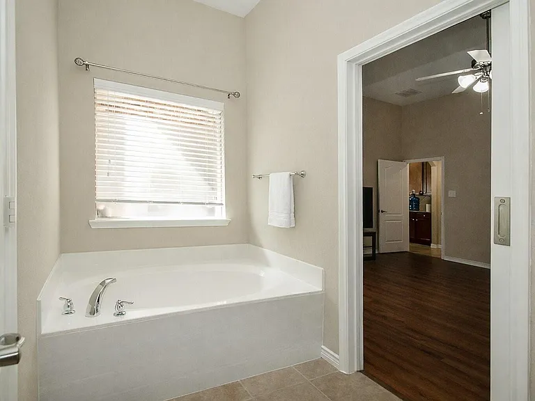 Master Bath Tub