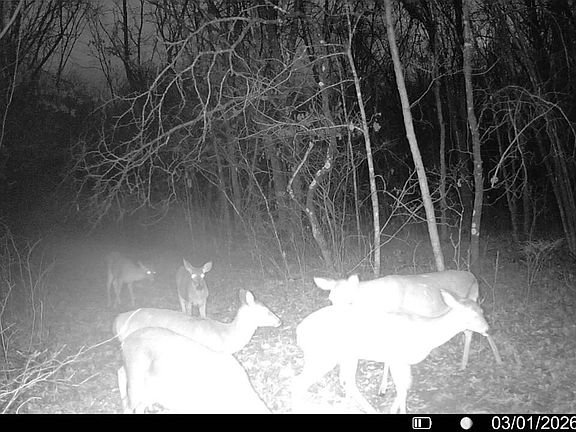 2nd image of (Undisclosed Address)