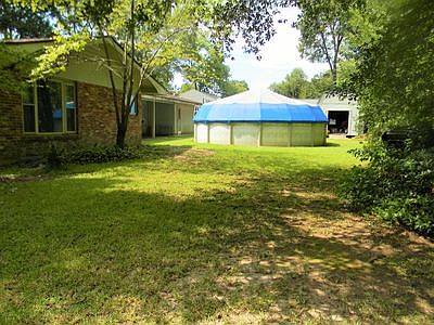 Backyard 1