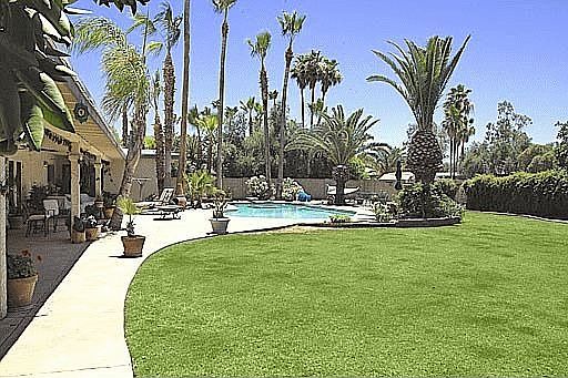 Private Back Yard W/ Play Area