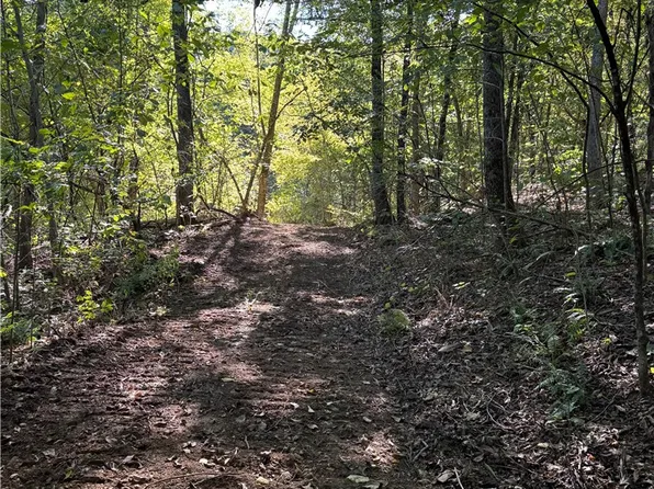 Madison 5445, Combs, AR 72721
