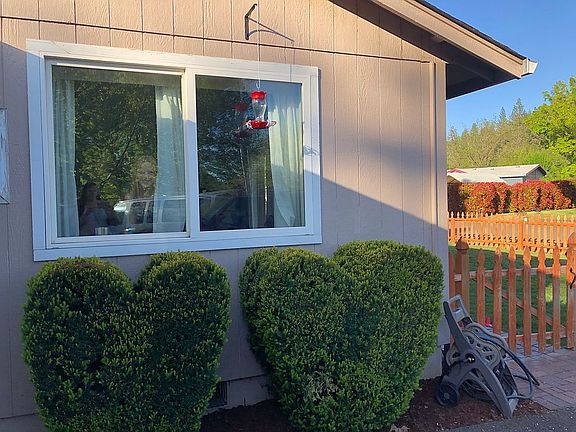 heart shaped bushes