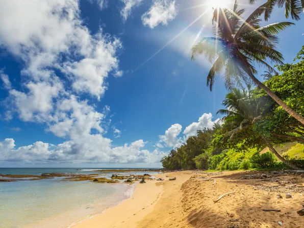 6171D Koolau Rd #4, Kapaa, HI 96746