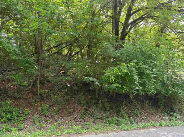 Chestnut St, Vinton, VA 24179