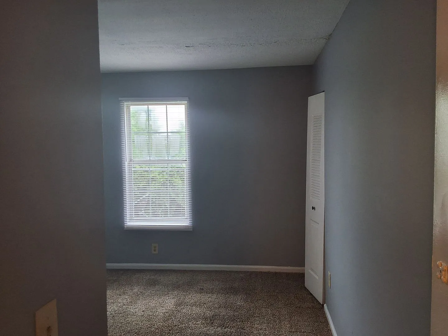 340 Shelby Ave. — Photo 4