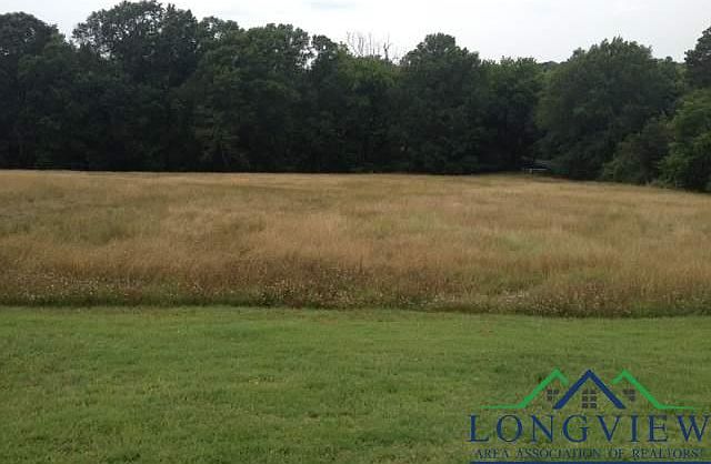 1st image of LOT 1 Stone Ridge Dr Lot 1