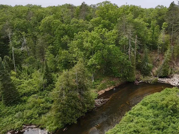 Wilson Rd, Indian River, MI 49749