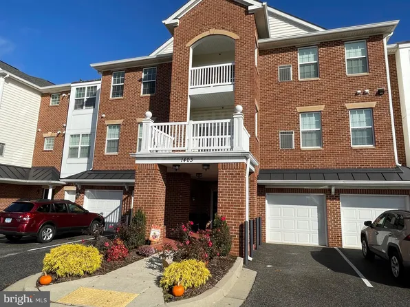 1403 Wigeon Way Unit 303, Gambrills, MD 21054