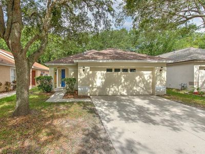 6619 Summer Haven Dr, Riverview, FL, 33578