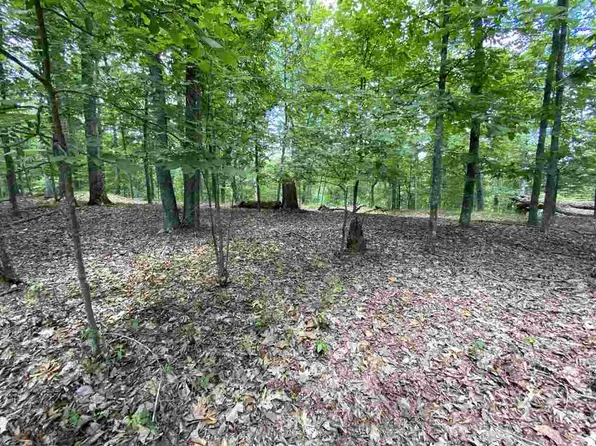 317 Chelaque Way, Mooresburg, TN 37811