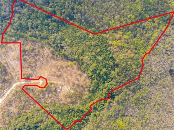 315 Red Gate Rd, Waynesville, GA 31566