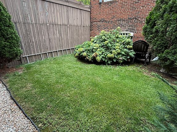 Back yard