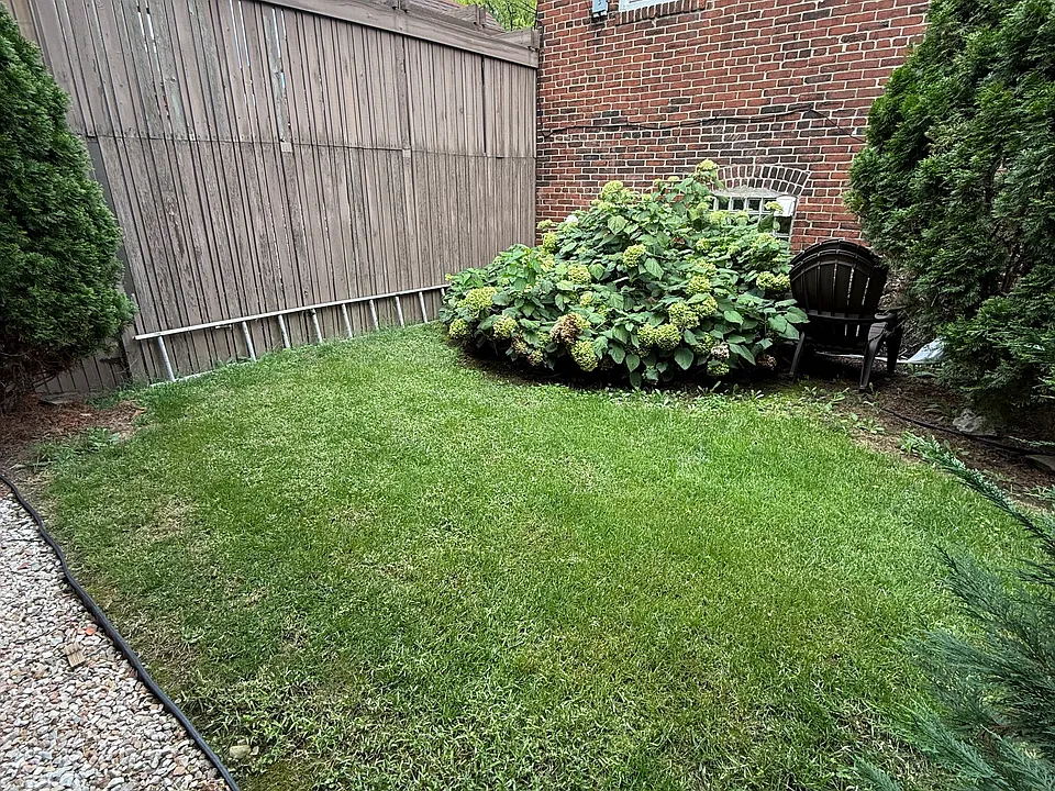 Back yard