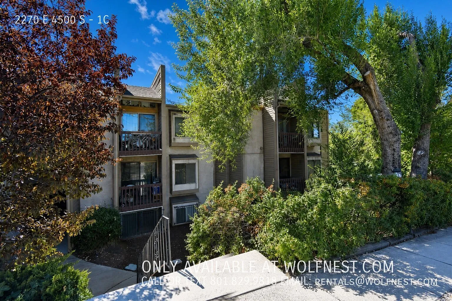 2 bed, 820 sqft, $1,495 — Photo 1