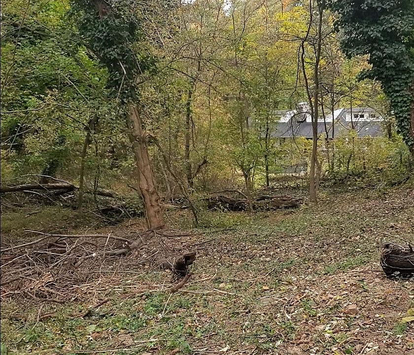 1st image of E D St