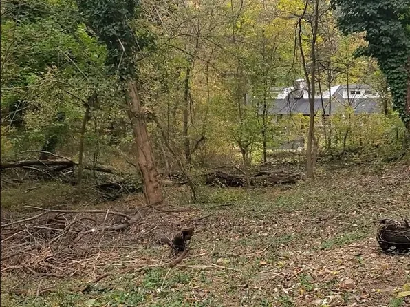 E D St, Brunswick, MD 21716